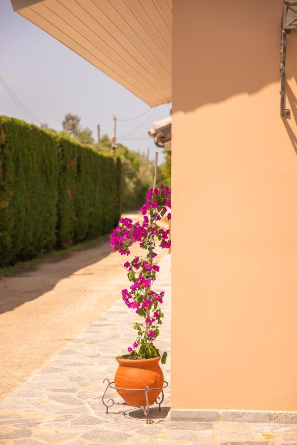 Kourouta Villas Amaliada Buitenkant foto